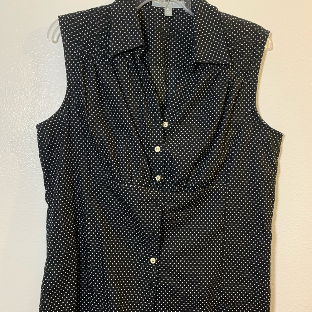 Foxcroft.  Wrinkle free.  Sleeveless polka dot blouse.